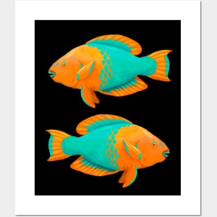 Tropical Coral Reef Rainbow Parrotfish in Digital Posters and Art